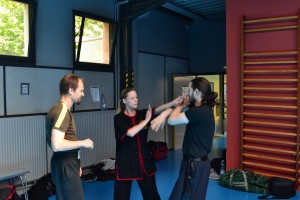 hunggarnancy-artsmartiaux-wushu-kungfu-ericbourbonnais-18juin2016-6   